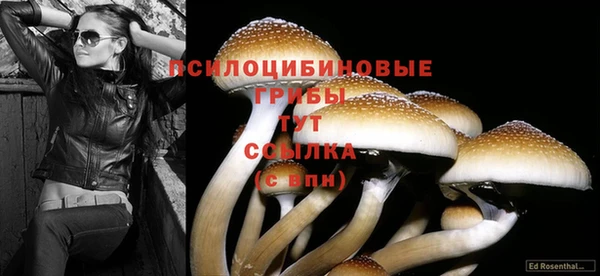индика Балабаново