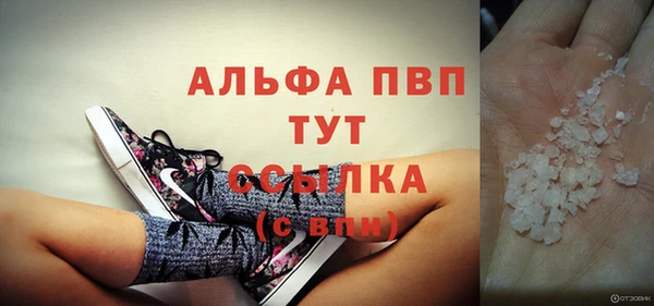 индика Балабаново
