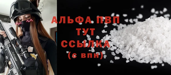 индика Балабаново