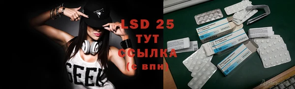 индика Балабаново