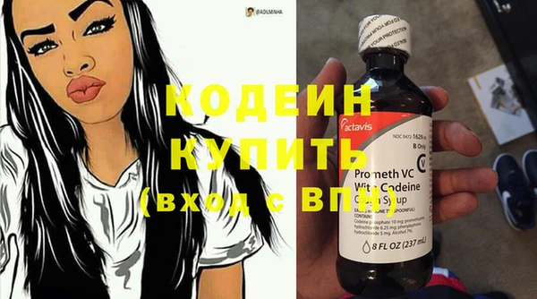 дурь Пересвет
