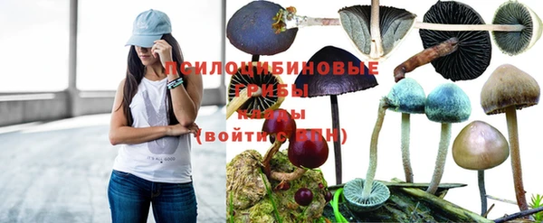 индика Балабаново
