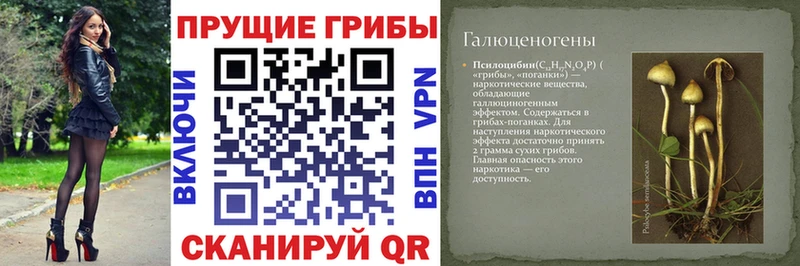 Псилоцибиновые грибы ЛСД  hydra как зайти  Сельцо 